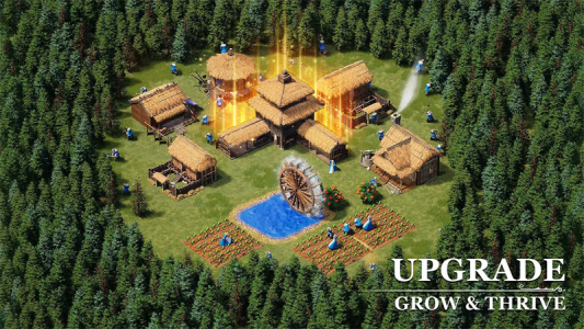 泰拉贝尔国际服