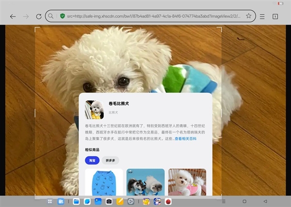 OPPO Pad3上手体验心得一览，相当不错的生产力工具，各方面都很强大