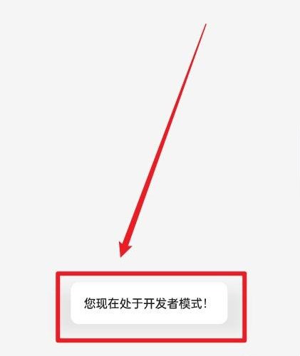 一加 Ace 2V如何进入开发者模式