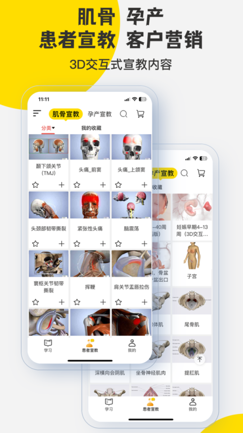 3Dbody解剖app