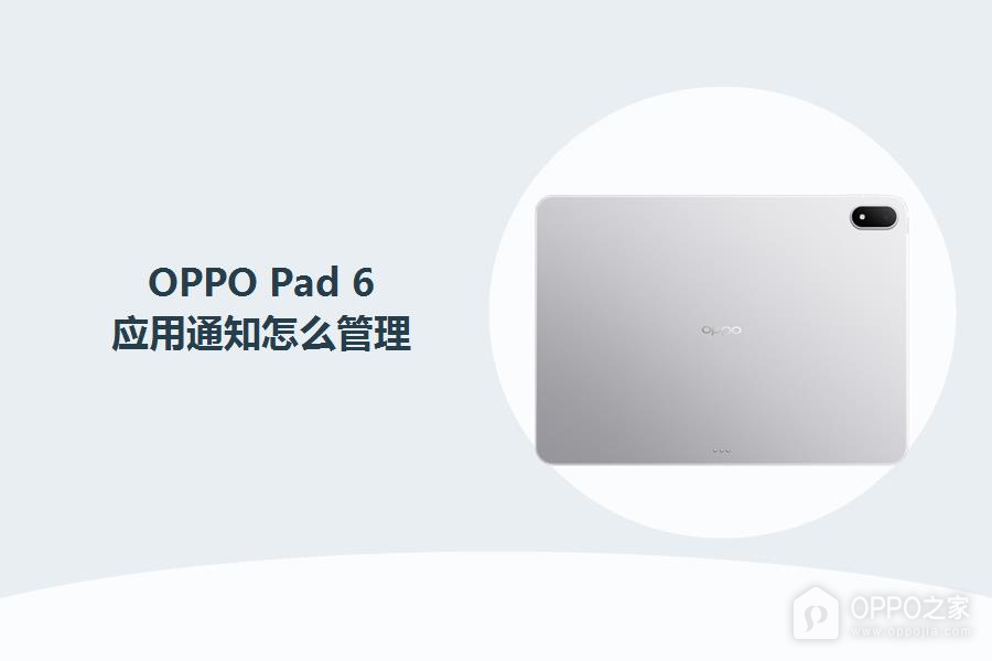 OPPO Pad 6应用通知怎么管理?