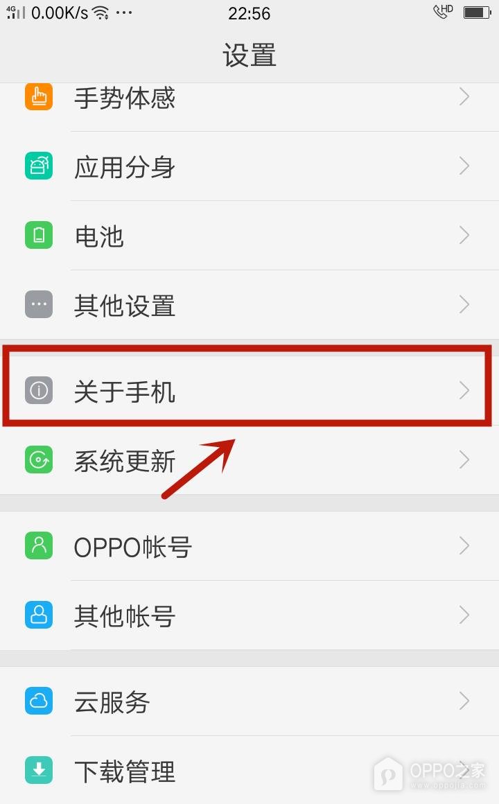一加 Ace 6T开发者选项在哪里开启？