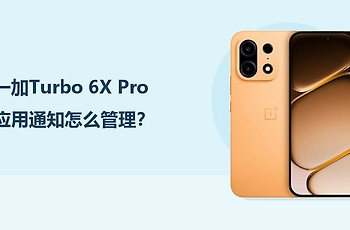 一加Turbo 6X Pro应用通知怎么管理？