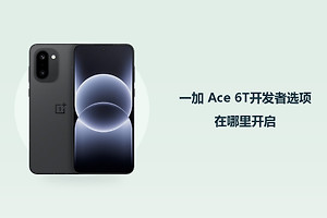 一加 Ace 6T开发者选项在哪里开启？