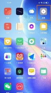 OPPO A7 Pro Max怎么调整显示大小？