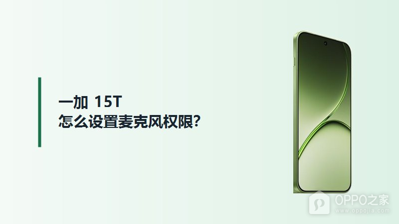 一加15T怎么设置麦克风权限？