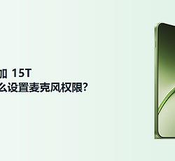 一加15T怎么设置麦克风权限？