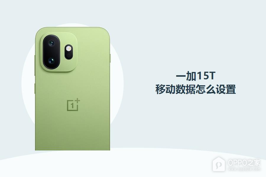 一加15T怎么设置移动数据?
