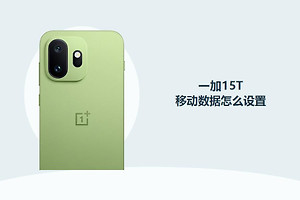 一加15T怎么设置移动数据？