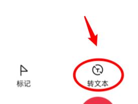 OPPO A7 Pro Max怎么把录音转成文字?