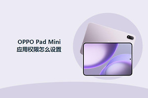 OPPO Pad Mini应用权限怎么设置？