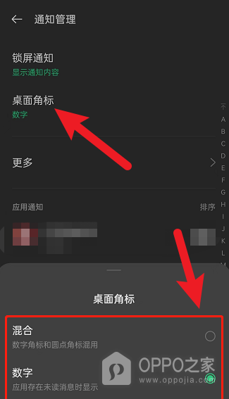 OPPO Find X10桌面数字角标怎样设置?