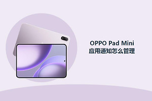 OPPO Pad Mini应用通知怎么管理？