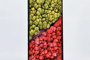 OPPO Find X10系列屏幕参数曝光？天马OLED与N1发光材料成关注点