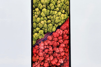 OPPO Find X10系列屏幕参数曝光？天马OLED与N1发光材料成关注点
