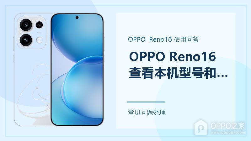 OPPO Reno16怎么查看本机型号和系统版本？两个入口都能找到