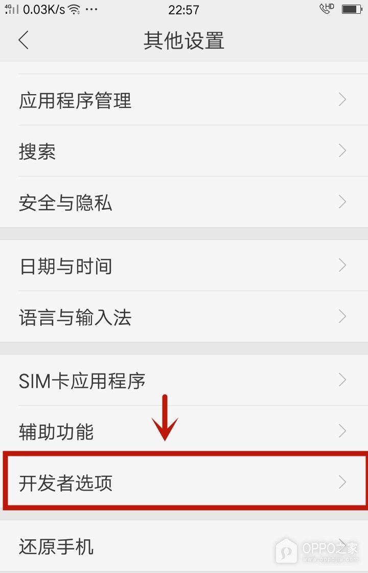 一加 15开发者选项在哪里开启？