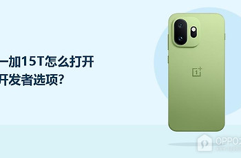 一加15T怎么打开开发者选项？