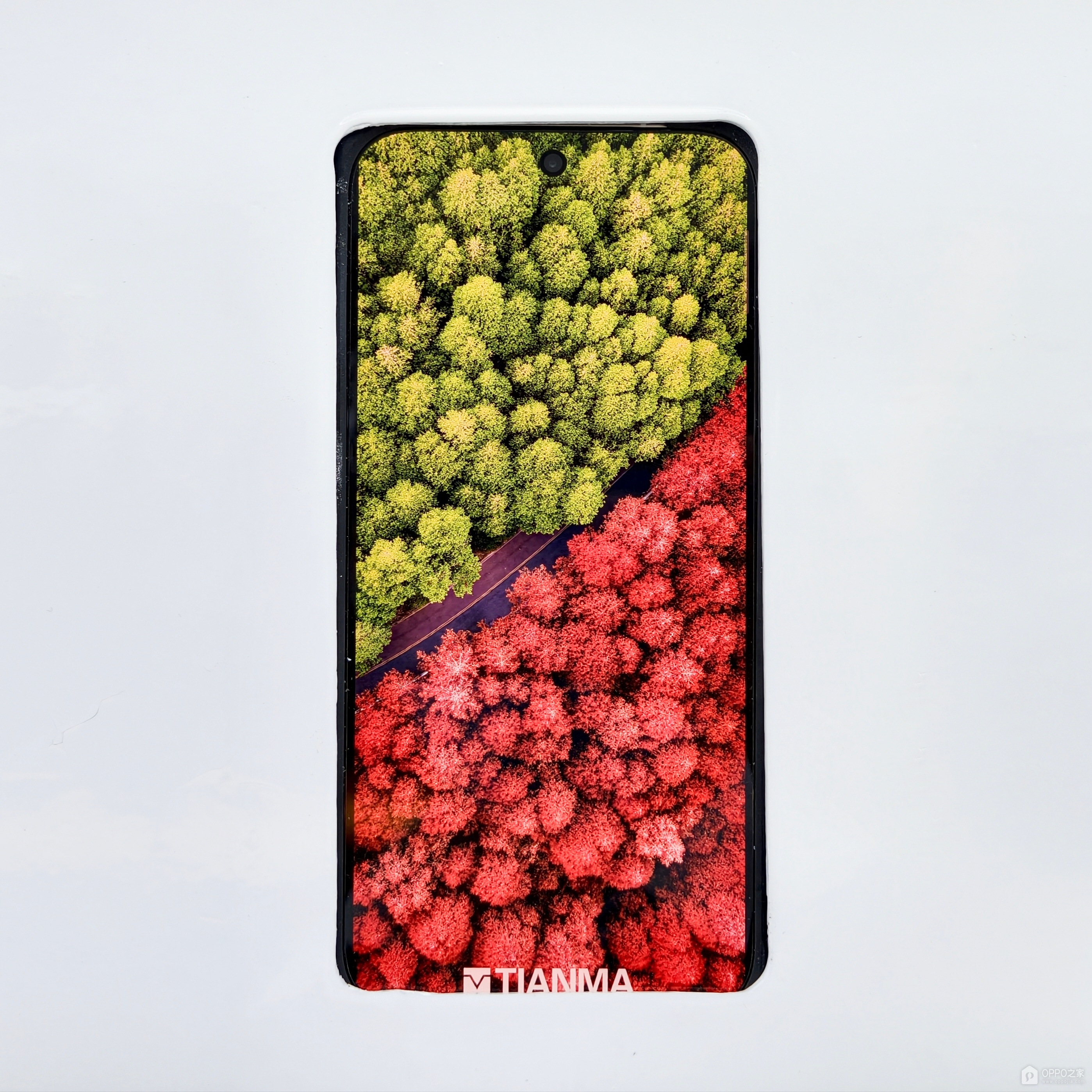 OPPO Find X10系列屏幕参数曝光？天马OLED与N1发光材料成关注点