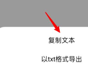 OPPO A7 Pro Max怎么把录音转成文字?
